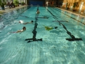 Meerjungfrauenschwimmen-091.jpg